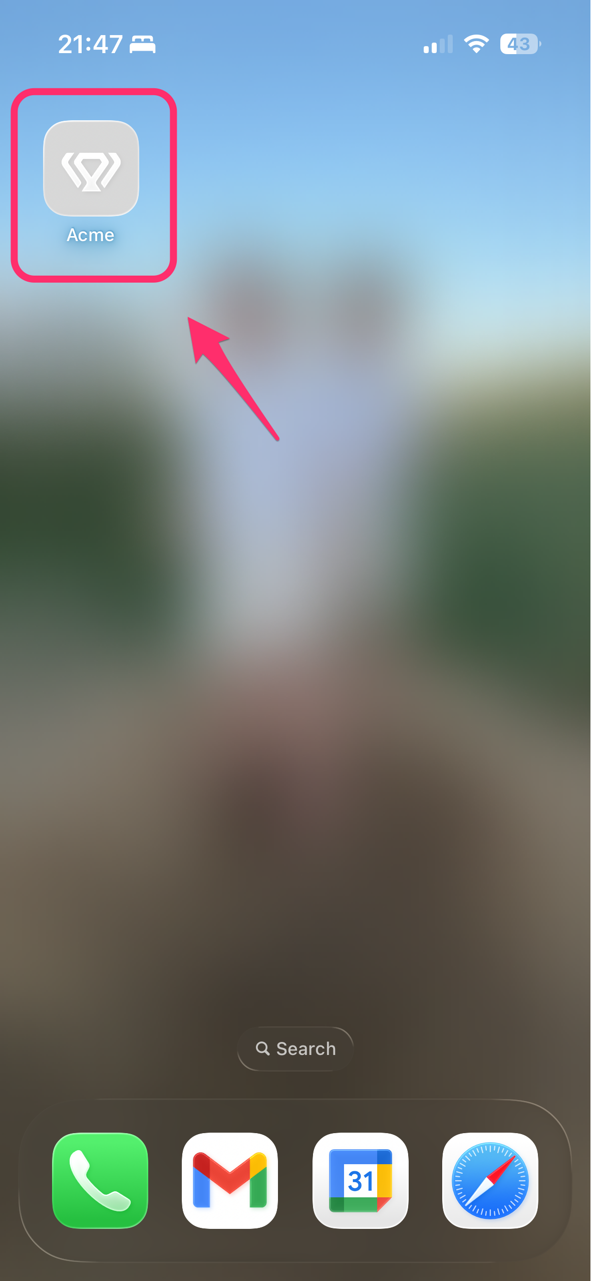 Installed app icon on iPhone Home screen